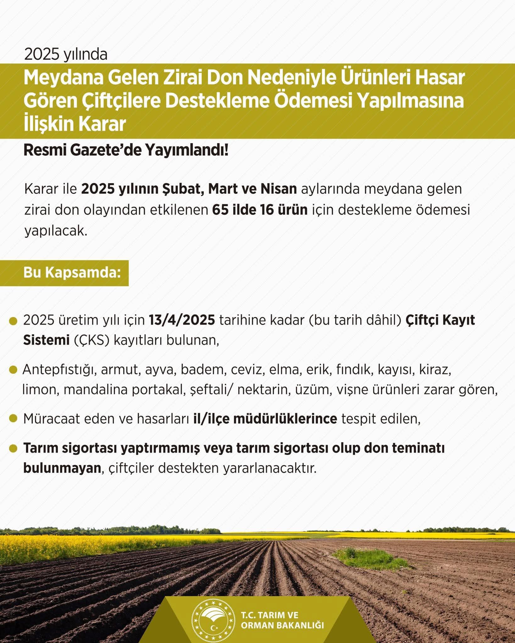 Zirai Don Nedeniyle Çiftçilere Destekleme Ödemesi Kararı Resmî Gazete’de Yayımlandı