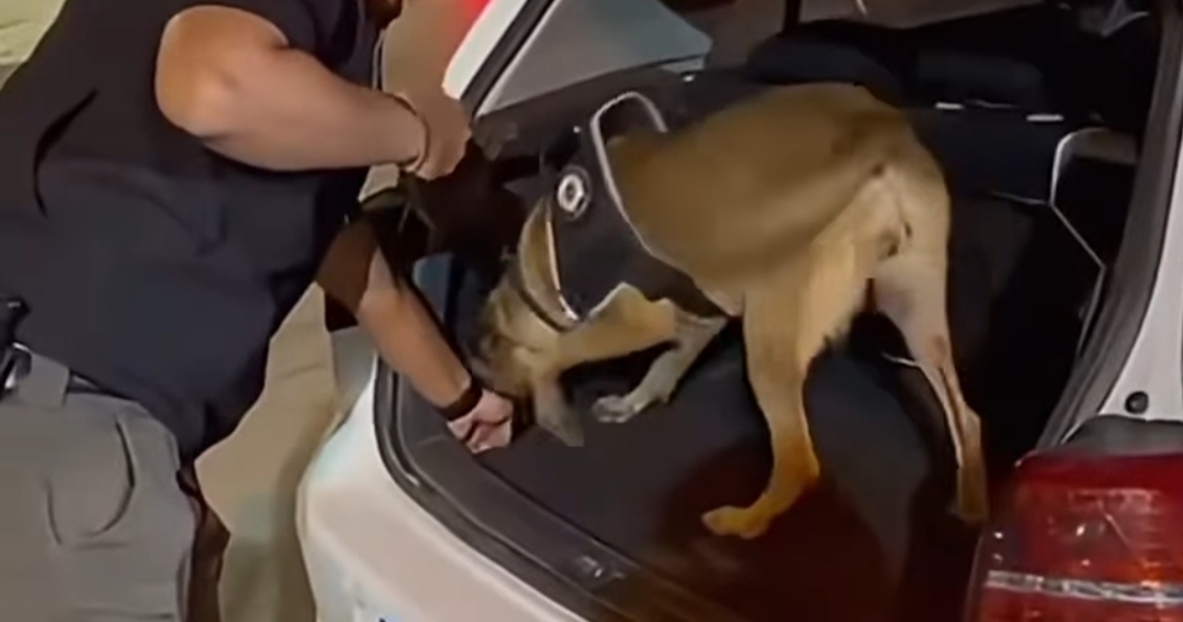 Aralarında Afyonkarahisar'ın Bulunduğu 74 İlde Narkotik Operasyonu