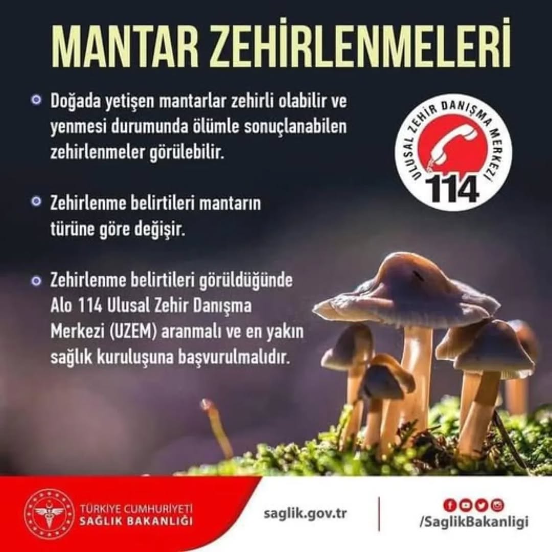 Mantar Zehirlenmelerine Karşı Dikkat!