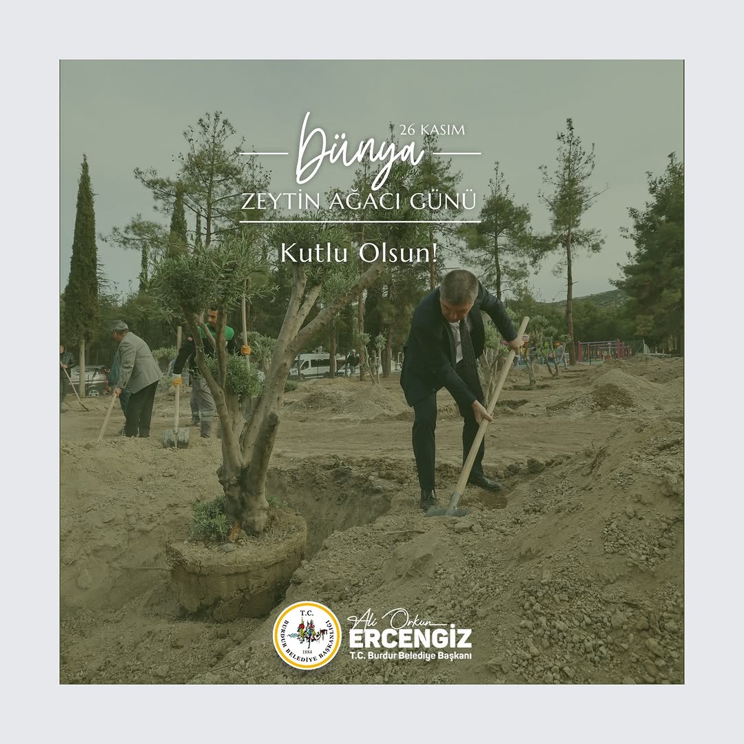 Bugün Dünya Zeytin Ağacı Günü Kutlu Olsun!
