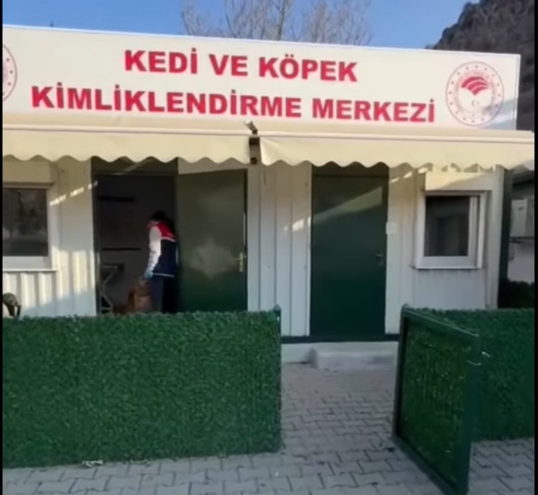 Kedi ve Köpeklerin Mikroçiple Kimliklendirilmesi İçin Son Tarih Belli Oldu