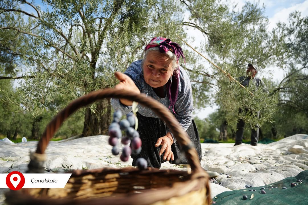T.C. Tarım ve Orman Bakanlığından Anadolu'nun Bereketine Dair Fotoğraflar
