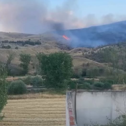 Afyonkarahisar'da Kütahya Yolu'nda Yangın Paniği