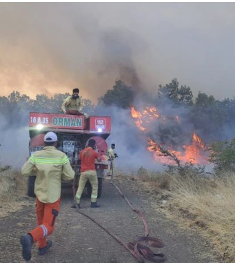 Bursa'nın Nilüfer ilçesinde yangın paniği: Ekipler müdahaleye başladı
