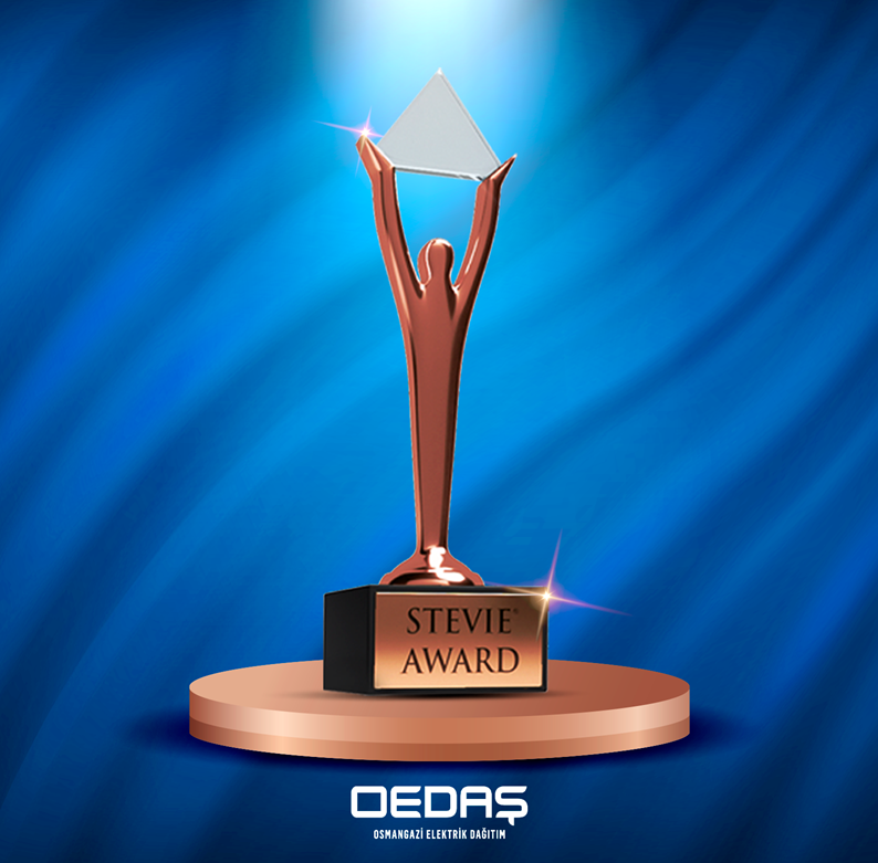 OEDAŞ, Yenilikçi Projesi ile Uluslararası Ödül Kazandı