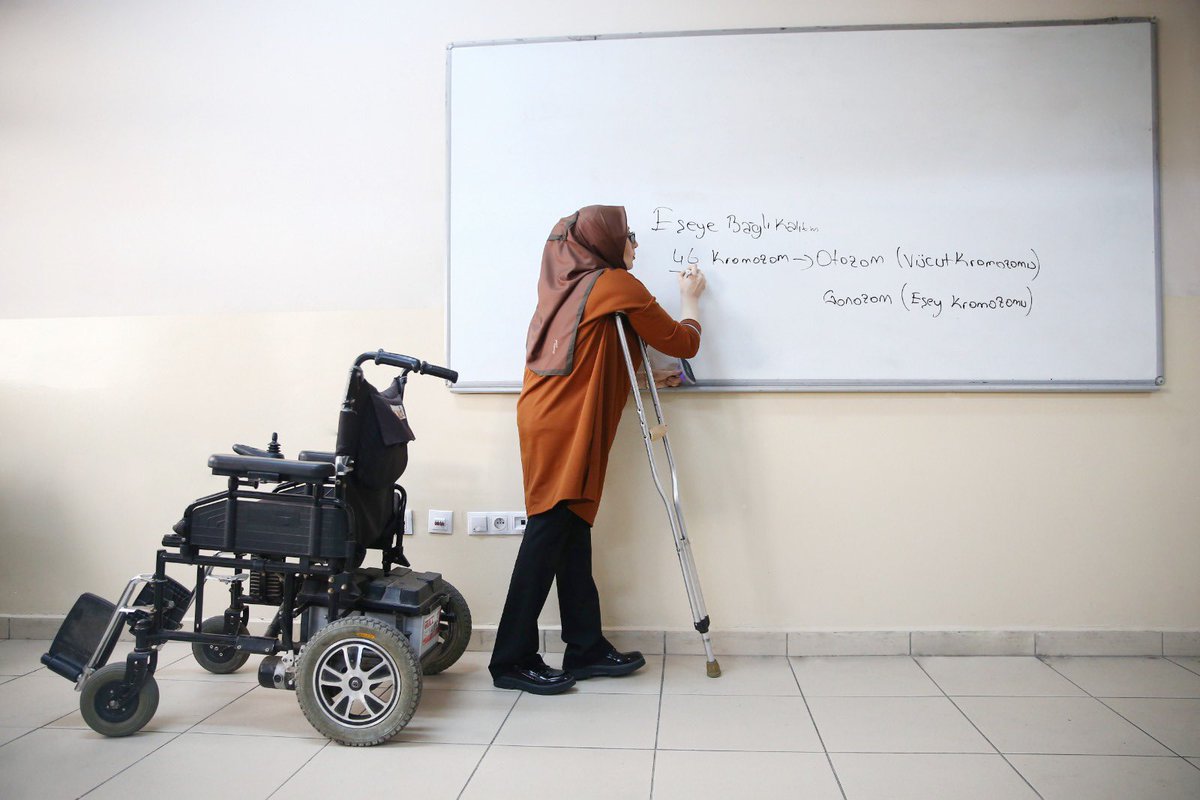 MEB, 1381 Engelli Öğretmeni Göreve Getirdi