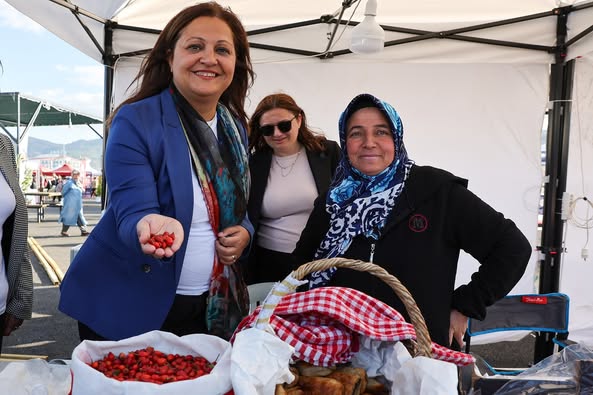 Fusce quis est non ipsum habitant ex 4431